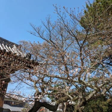 インスタグラムの写真01