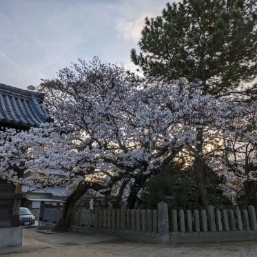 インスタグラムの写真04