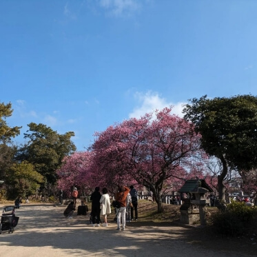 インスタグラムの写真05